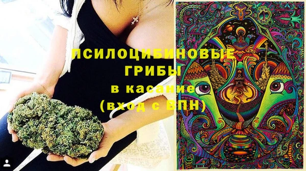 твердый Алексин