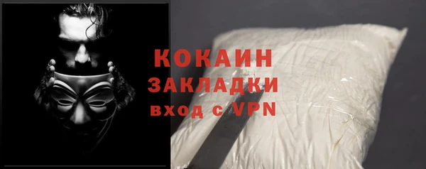 твердый Алексин