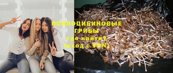 твердый Алексин