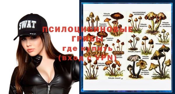 твердый Алексин