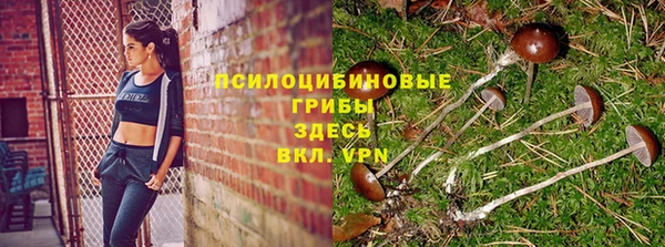 твердый Алексин